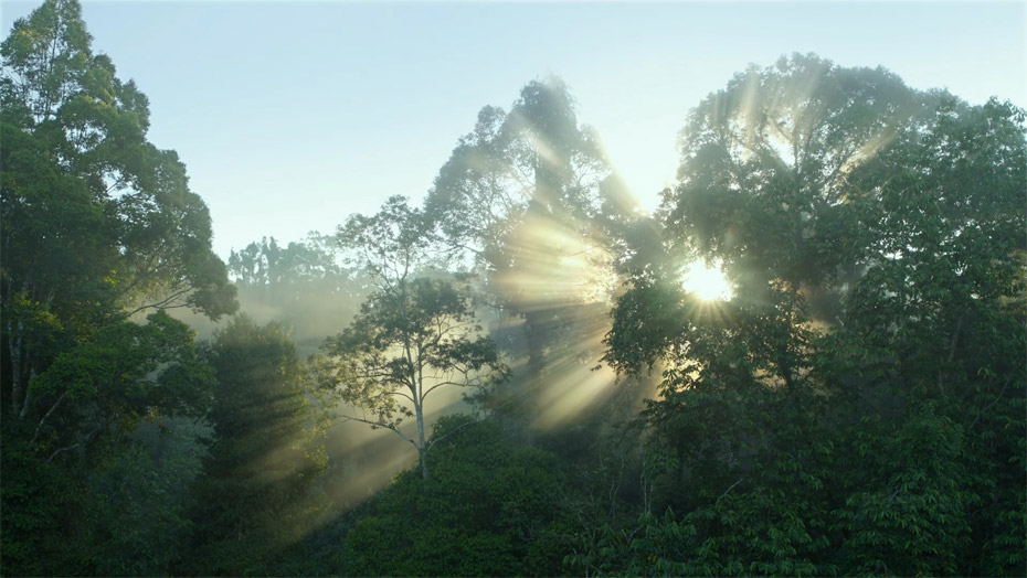 豪门国际·(中国游)官方网站